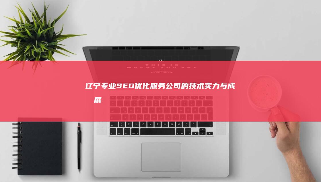 辽宁专业SEO优化服务公司的技术实力与成效展示